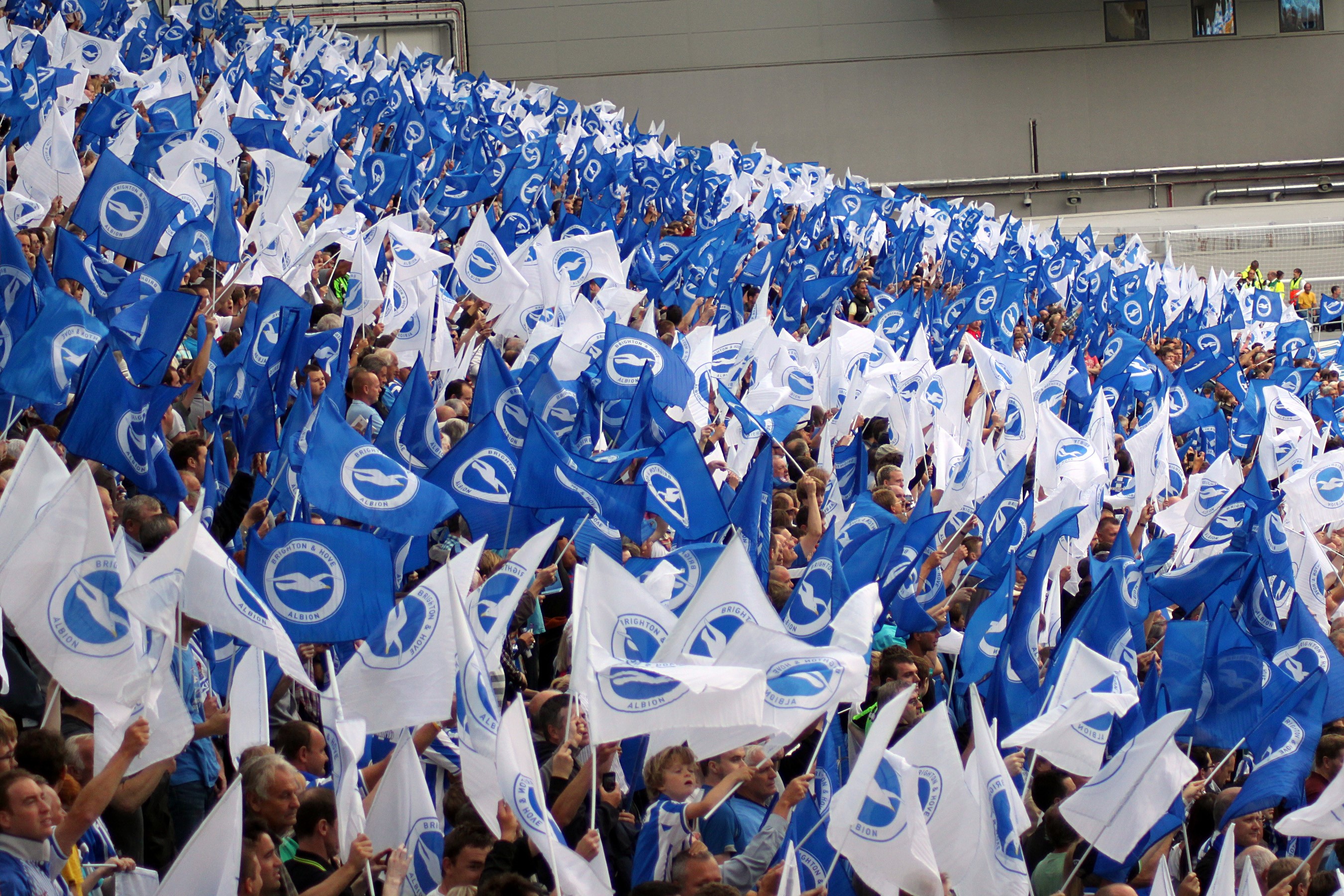Official Brighton and Hove Albion Travel
