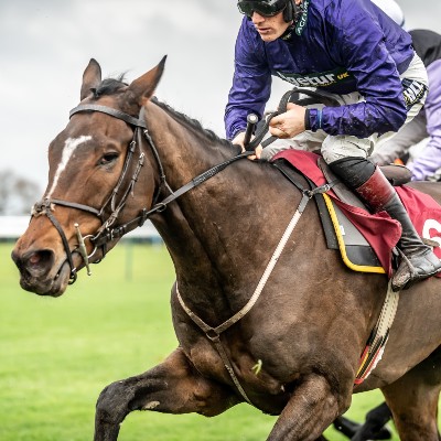 Cheltenham Racecourse