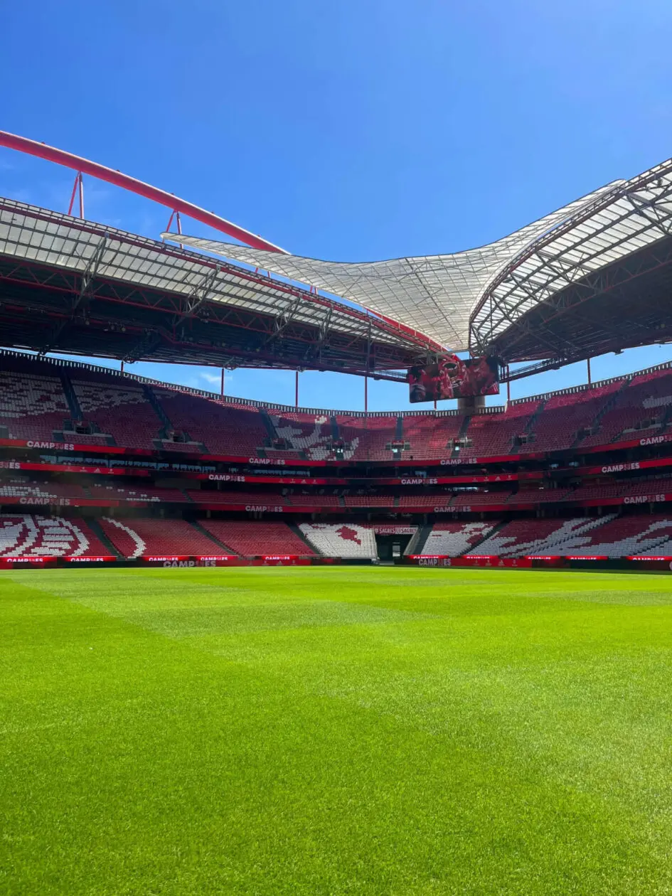 Benfica Stadium