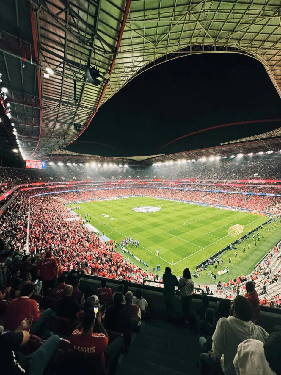 View from the stands at the Estadio da Luz.