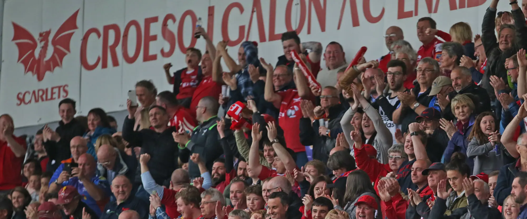 Scarlets fans in the stadium.