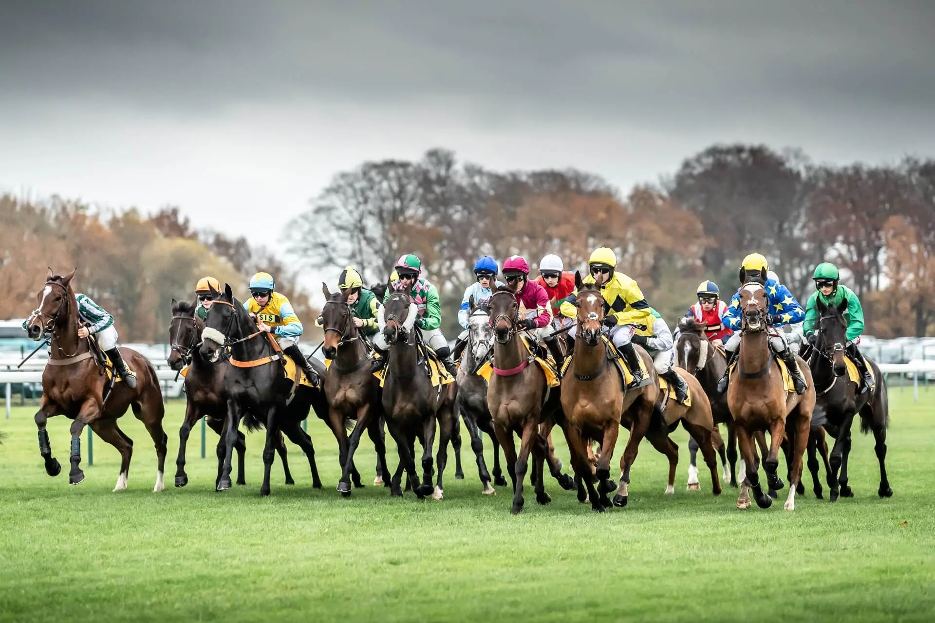 Haydock Park Horse Racing