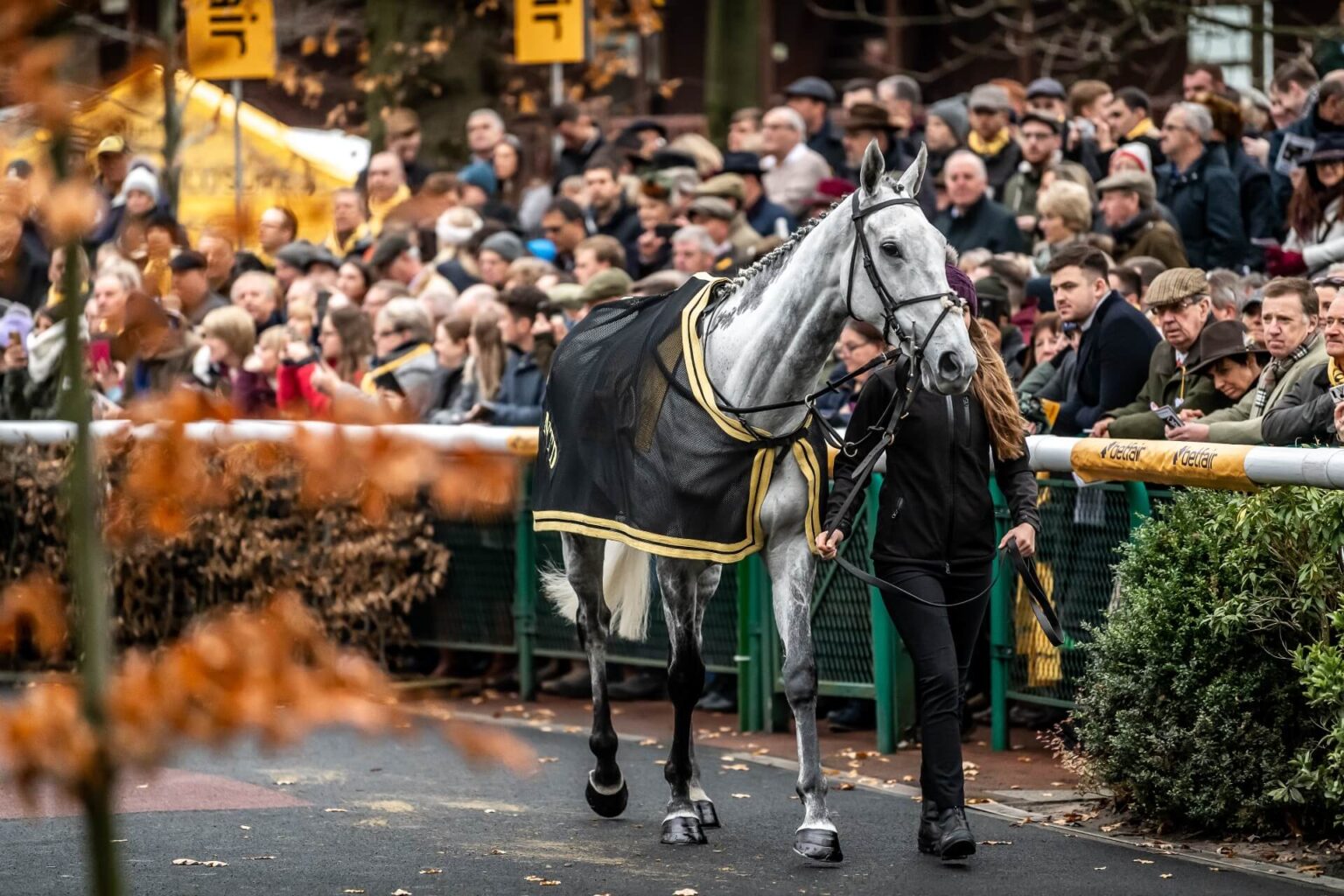Aintree Festival Opening Day Tickets & Packages | SportsBreaks